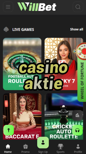 Casino Aktie - Best Casino Stocks & Games-www.bdqngd.com