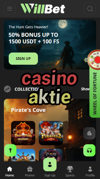 Casino Aktie - Best Casino Stocks & Games-www.bdqngd.com